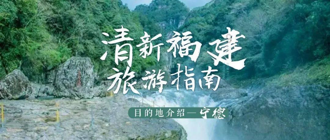 88影视